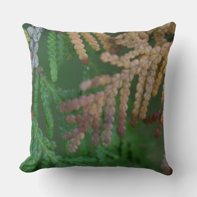 Seizoenen Kussen (Voorkant)