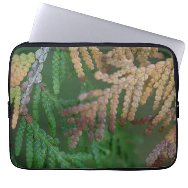 Seizoenen Laptop Sleeve (Voorkant)