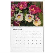 Seizoenen op de Botanische Kalender 2025 (Feb 2026)