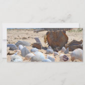 Seizoenen op de strand van Shirley Taylor (Achterkant)