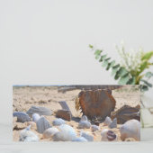 Seizoenen op de strand van Shirley Taylor (Staand voorkant)