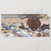 Seizoenen op de strand van Shirley Taylor (Voorkant / Achterkant)