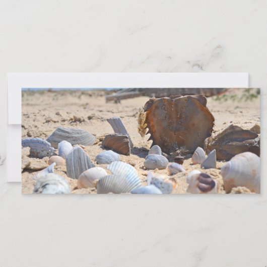 Seizoenen op de strand van Shirley Taylor (Voorkant)