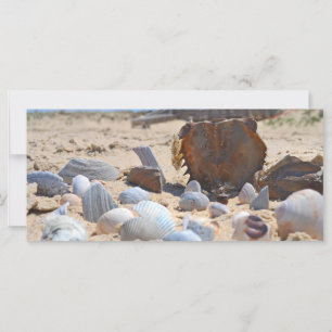 Seizoenen op de strand van Shirley Taylor