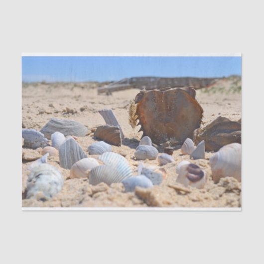 Seizoenen op de strand van Shirley Taylor Tissuepapier (Voorkant)