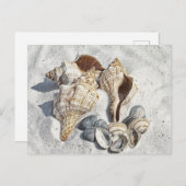 Seizoenen op het witte zandige strand briefkaart (Voorkant / Achterkant)