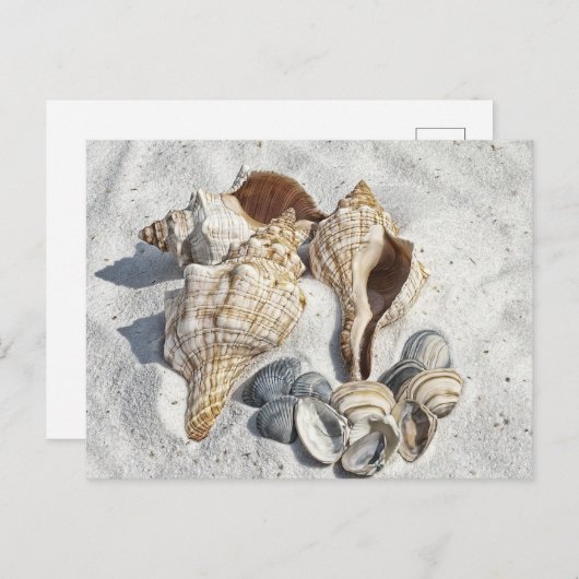 Seizoenen op het witte zandige strand briefkaart (Voorkant / Achterkant)