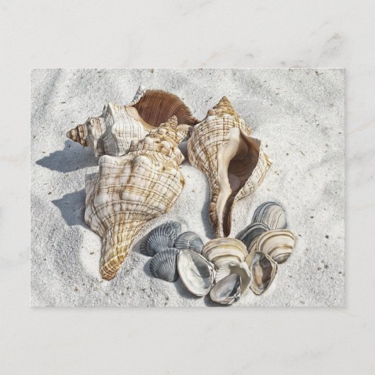 Seizoenen op het witte zandige strand briefkaart (Voorkant)