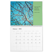 Seizoenen van een Achtertuin Persimmon Boom Fotogr Kalender (Feb 2026)