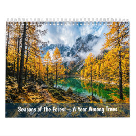 Seizoenen van het bos - Een jaar tussen de bomen Kalender