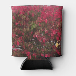 Seizoenen wijzigen blikjeskoeler