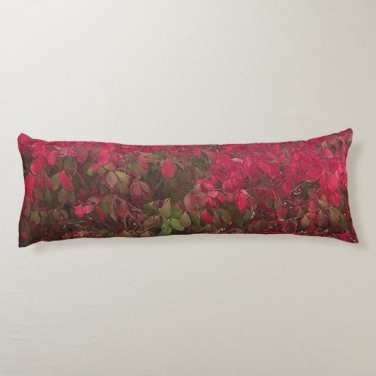 Seizoenen wijzigen lichaamskussen (Achterkant)