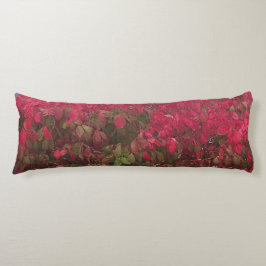 Seizoenen wijzigen lichaamskussen