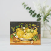 SEIZOENGROENEN EN WITTE STROMEN BRIEFKAART (Staand voorkant)