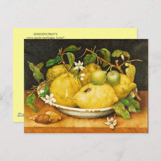 SEIZOENGROENEN EN WITTE STROMEN BRIEFKAART (Voorkant / Achterkant)