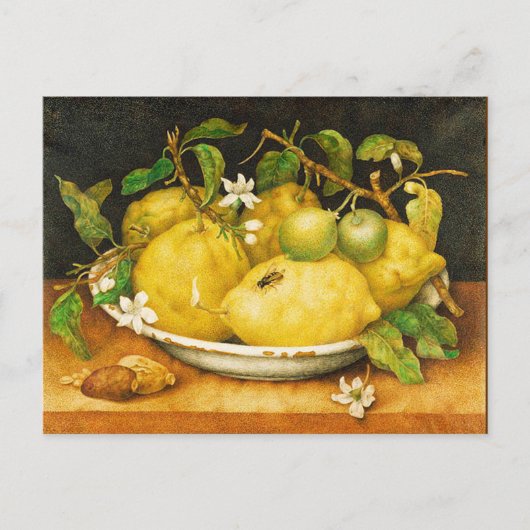 SEIZOENGROENEN EN WITTE STROMEN BRIEFKAART (Voorkant)