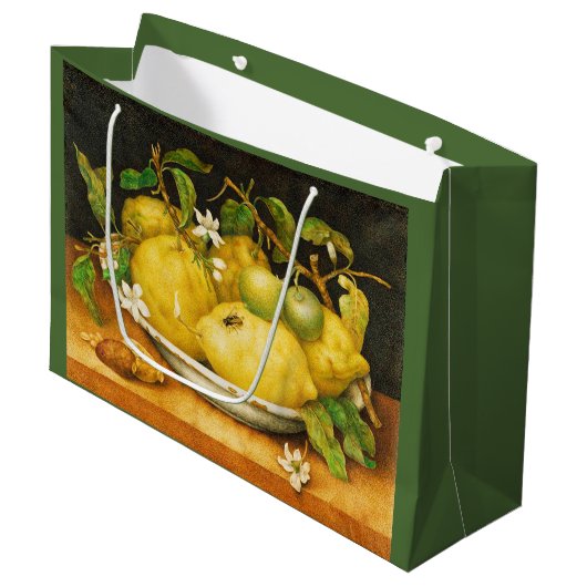 SEIZOENGROENEN EN WITTE STROMEN GROOT CADEAUZAKJE (Voorkant Gekanteld)