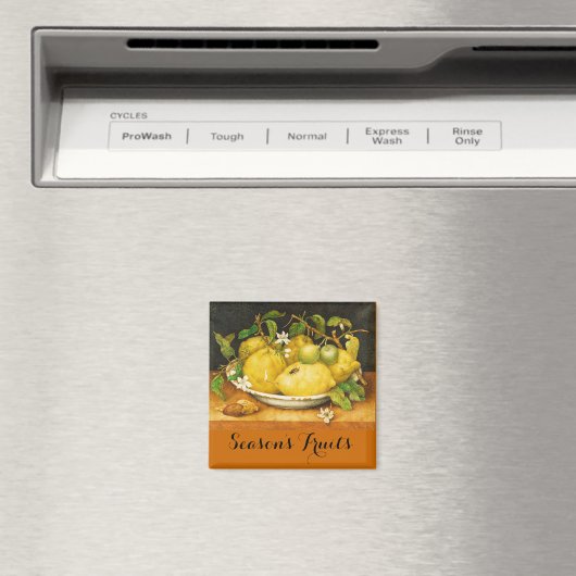 SEIZOENGROENEN EN WITTE STROMEN MAGNEET (Insitu (Vaatwasser))