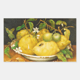 SEIZOENGROENEN EN WITTE STROMEN RECHTHOEKIGE STICKER