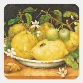 SEIZOENGROENEN EN WITTE STROMEN VIERKANTE STICKER