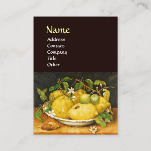 SEIZOENGROENEN EN WITTE STROMEN VISITEKAARTJE