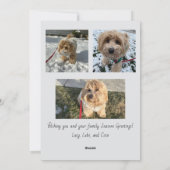 Seizoengroeten Script Foto Kaart (Achterkant)