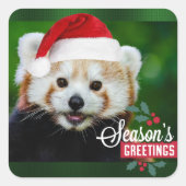 Seizoengroeten uit Red Panda Vierkante Sticker (Voorkant)