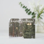 Seizoengroeten uit Tahoe City Briefkaart (Staand voorkant)