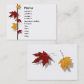 Seizoenprofielkaart Visitekaartje (Voorkant / Achterkant)