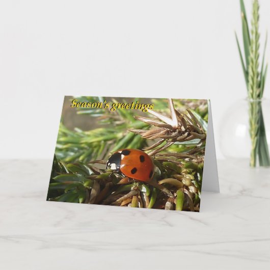 Seizoensbegroeten Feestdagen Kaart (Voorkant)