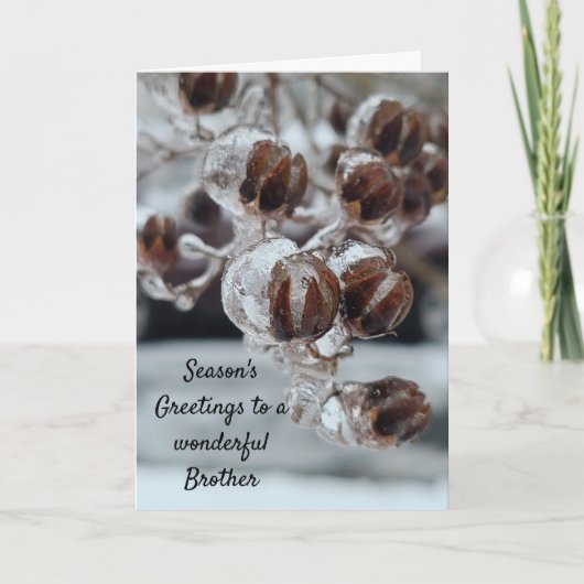 Seizoensbroeder Kaart (Voorkant)