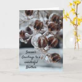 Seizoensbroeder Kaart