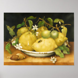 SEIZOENSFRUIT CITROENEN EN WITTE BLOEMEN POSTER