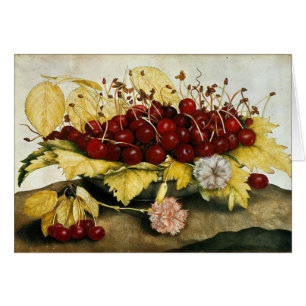 SEIZOENSFRUIT / KERSEN EN ANJERS