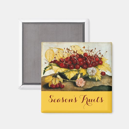 SEIZOENSFRUIT / KERSEN EN ANJERS MAGNEET