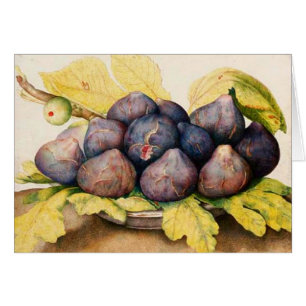 SEIZOENSFRUITEN / BORD MET VIJGEN EN GROENE BLADER