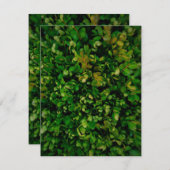 Seizoensgebonden elegantie feestdagenkaart (Voorkant / Achterkant)