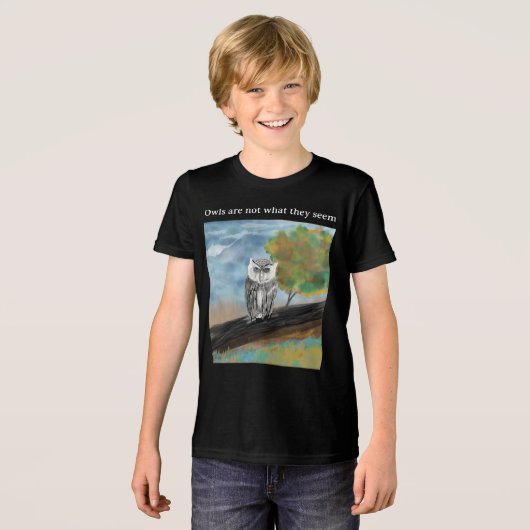 Seizoensgebonden Uil Schilderen in Natuur Wonders Tri-Blend Shirt (Voorkant volledig)