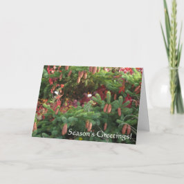 Seizoensgroeten Feestdagen Kaart