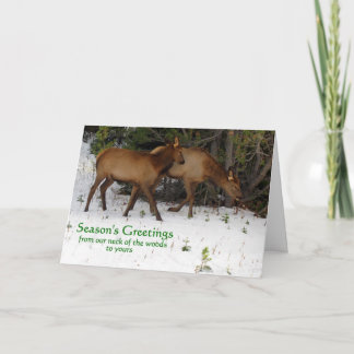 Seizoensgroeten Feestdagen Kaart