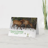 Seizoensgroeten Feestdagen Kaart (Voorkant)