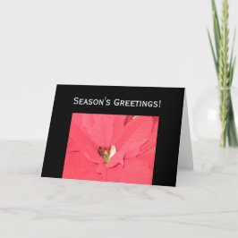 Seizoensgroeten Feestdagen Kaart