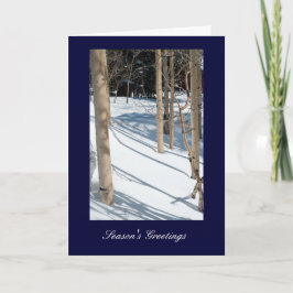 Seizoensgroeten Feestdagen Kaart