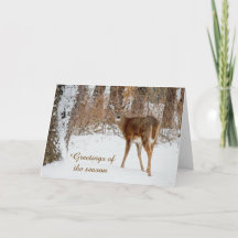 Seizoensgroeten Kerstmis Witte Staart Hert Kaart