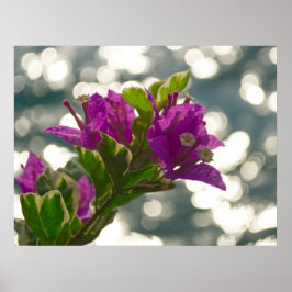 Seizoensgroeten Lente Bloemen Bokeh Poster