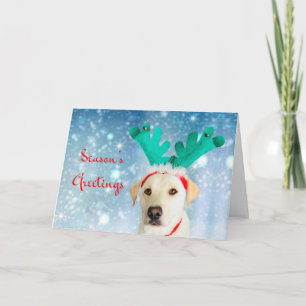 Seizoensgroeten Pet Labrador Dog Cute Festive Feestdagen Kaart