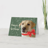Seizoensgroeten Pet Labrador Dog Cute Festive Feestdagen Kaart (Voorkant)