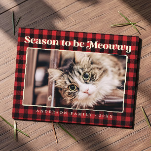 Seizoensgroeten Plaid Grappige Huisdier Kat Foto Feestdagenkaart