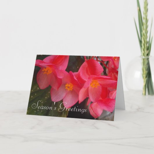 Seizoenskaartje Feestdagen Kaart (Voorkant)