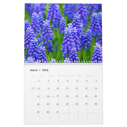 Seizoenskalender 2025 kalender (Mar 2026)